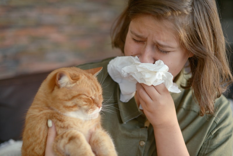 3 Cleaning Practices to Reduce Allergy Flare-Ups