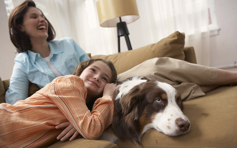 A Spring AC Tune-Up Keeps You Cooler All Summer